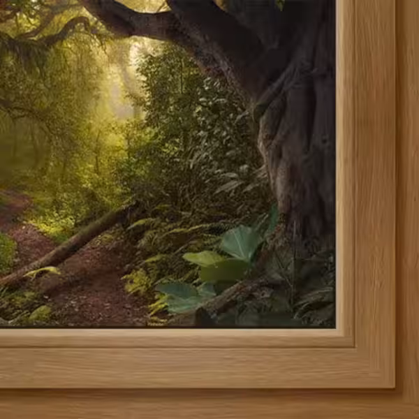 Almost too good to be true